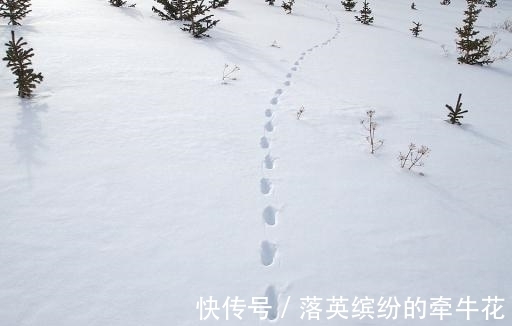 王弗&苏轼最凄美的一首词,全词无一个“悲”字,却悲得荡气回肠