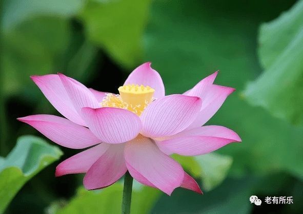 周易|天道酬勤,地道酬什么?人道酬什么?句句在理~