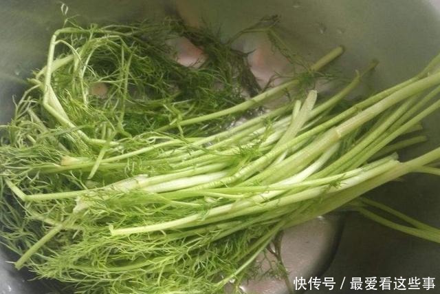 每天吃一盘,清理肠道,排出黑臭宿便,水桶腰悄悄变小蛮腰!