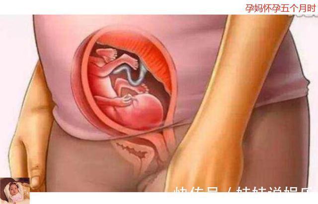 十月怀胎|母亲十月怀胎到底多辛苦十张图带你看孕育全过程,生命来之不易