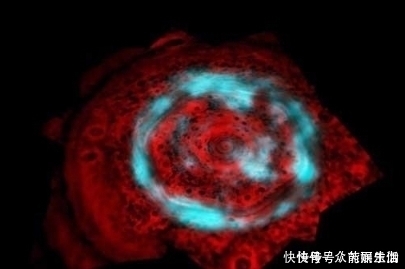 地球版 看过地球上绝美的极光,那你见过土星和火星上的吗?