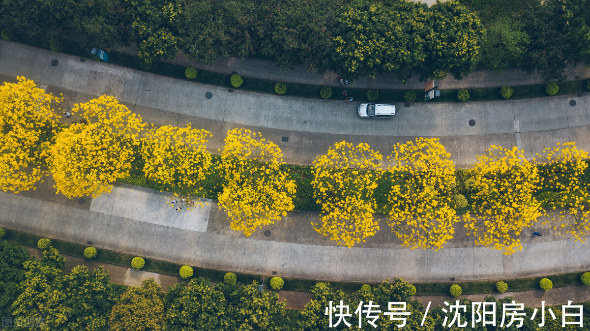 一房产局|一房产局“黄牛”代办,原先一周能出的房产证,第二天就出证了