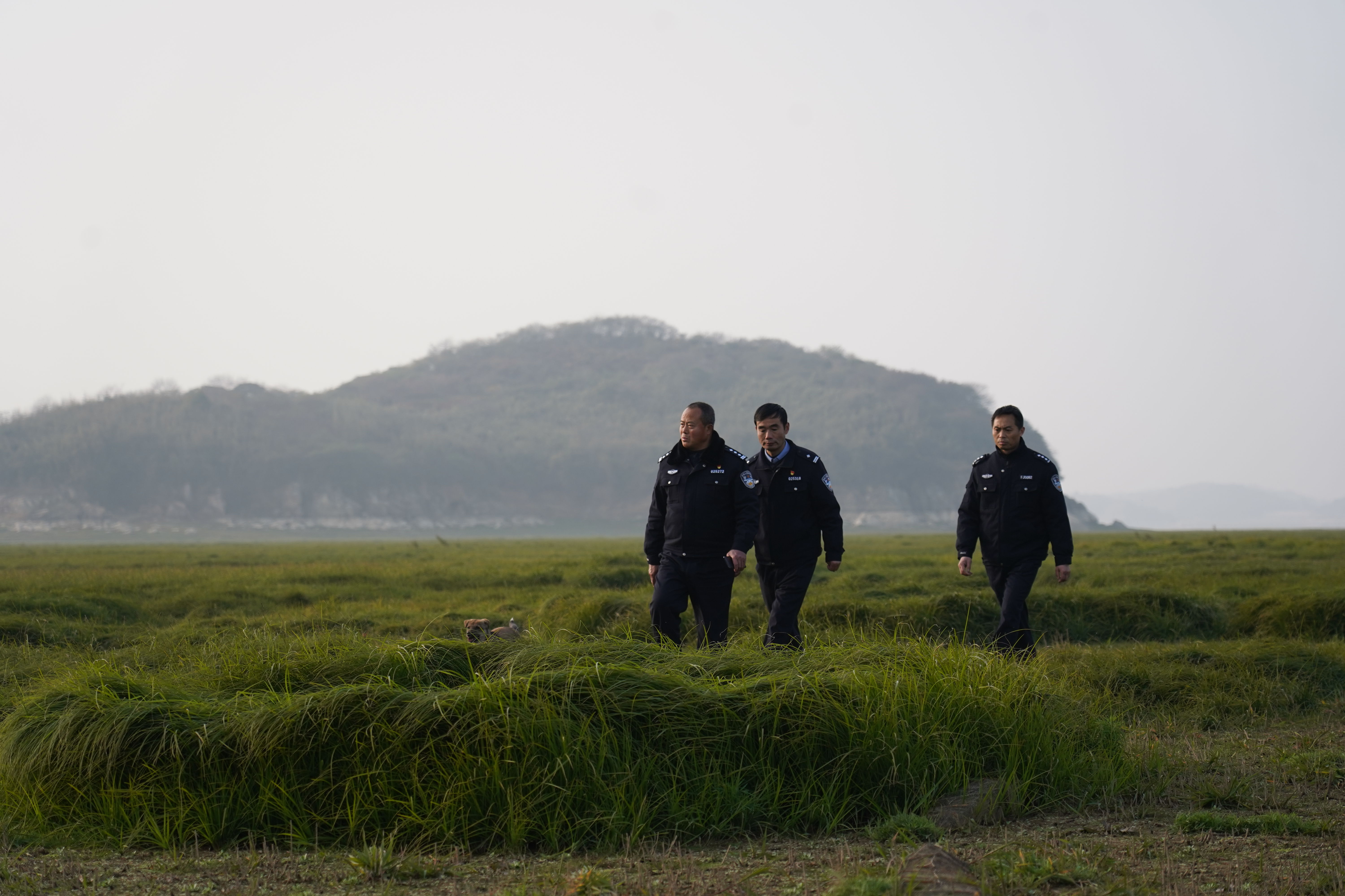 为了江豚和候鸟 这个“黑脸警察”在鄱湖孤岛守了5年|新华全媒+| 执法