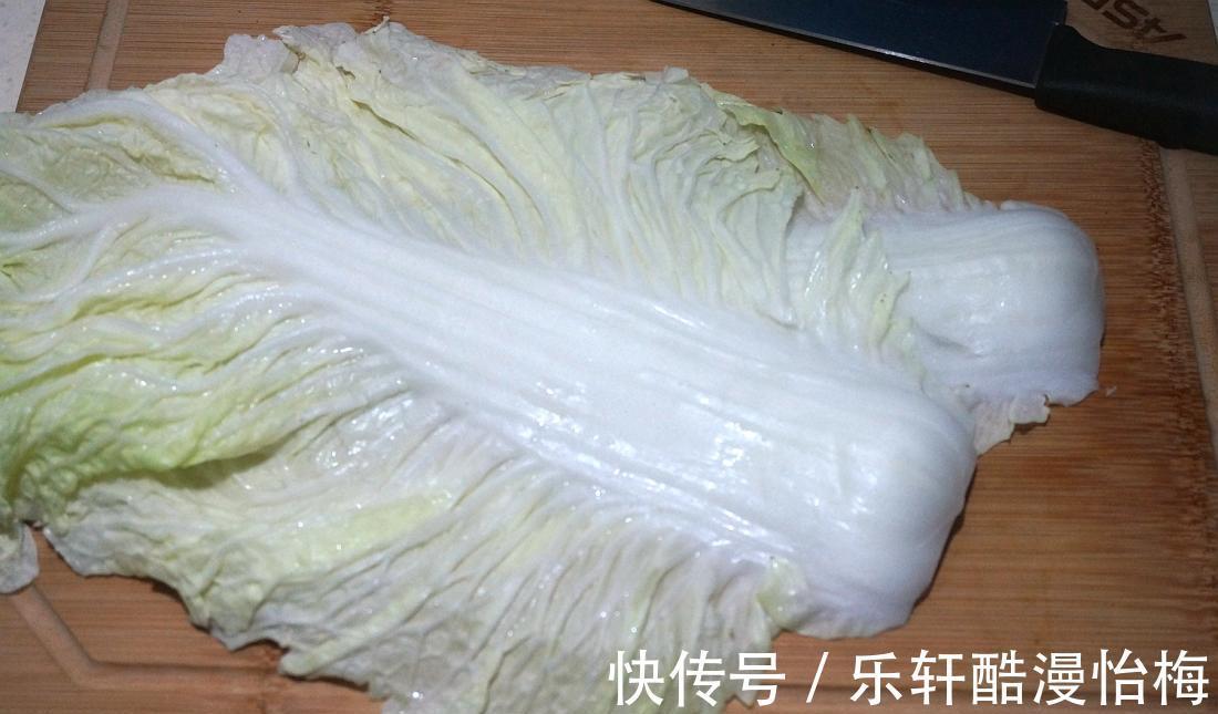 紫菜|家常小鲜肉馄饨，滋味十足，一口一个好吃到停不下来