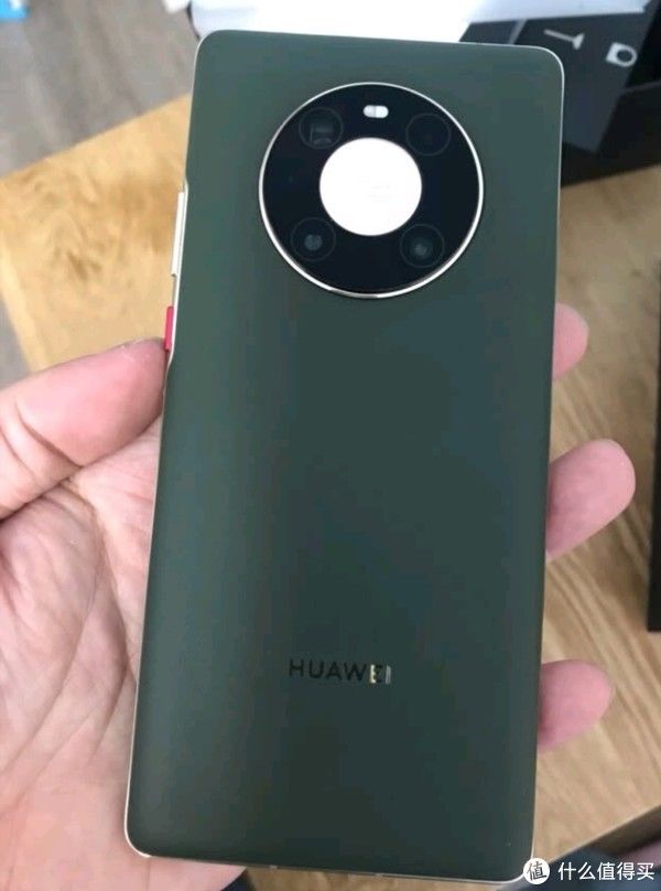 犒劳|夏日胡杨，犒劳自己