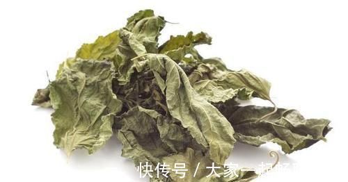 降血脂|桑叶又称“神仙草”,老中医这样吃桑叶,降血脂效果明显