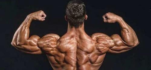 体型|背部肌肉不会练?这几个王牌动作,改善体型,加强背部肌肉有一套