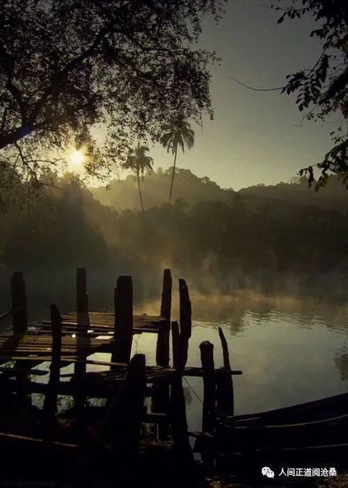 血管堵塞|65岁后的老人,选择静养好还是运动好这12种人最长寿,有你吗