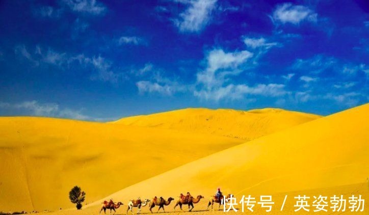 scate:tttttttttt#范仲淹的这首词,开篇便是名句,道尽了秋天的美