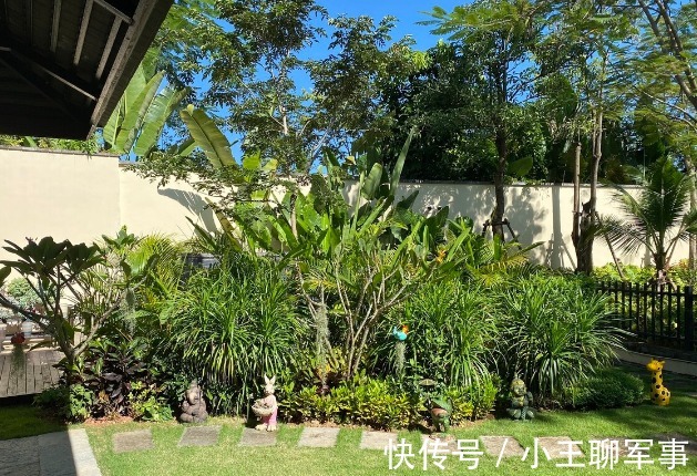 庭院无树,无福无禄?有院子就种15种树,随便选一种,吉祥又好看