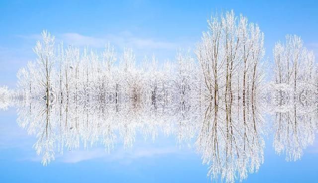 来临|今日冬至丨隆冬来临