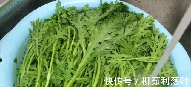 泻药|这菜比泻药还清肠,即便天天大鱼大肉,我们的体重也会逐步下降!