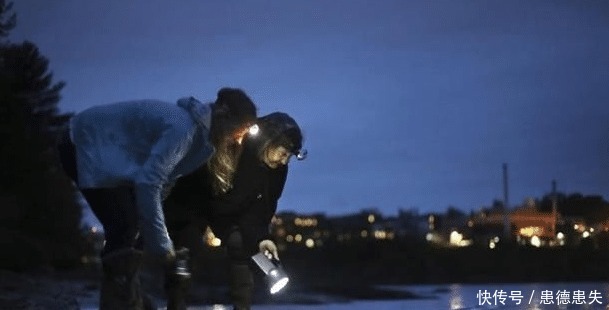 西班牙土豪才吃得起的食物,在中国却是喂猪的饲料,你们吃过吗!
