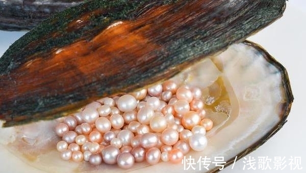 珍珠|万里挑一!珠宝级珍珠应该具有这些特征