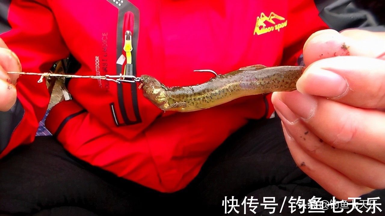用泥鳅垂钓，湖南三名“假钓友”被抓！现场查获59公斤翘嘴鱼