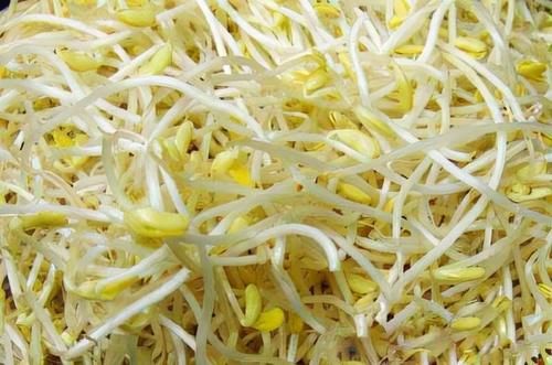 美白肌肤|女性养生,离不开的好食物,美白肌肤,滋补身体,增强免疫力