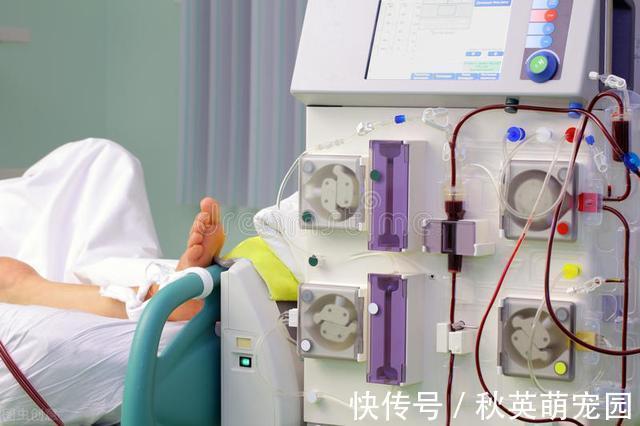 孫醫生|糖尿病10年了，血糖突然恢復了正常！醫生說，病情加重了