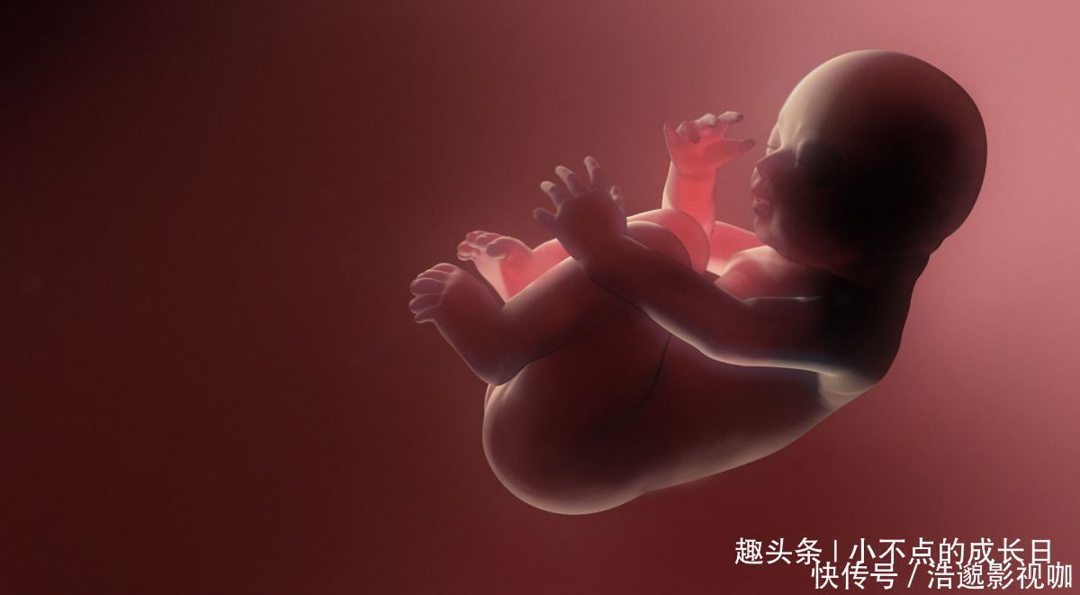 准妈妈|胎宝宝喜欢在这两个时间段内休息,准妈妈尽量不要打扰