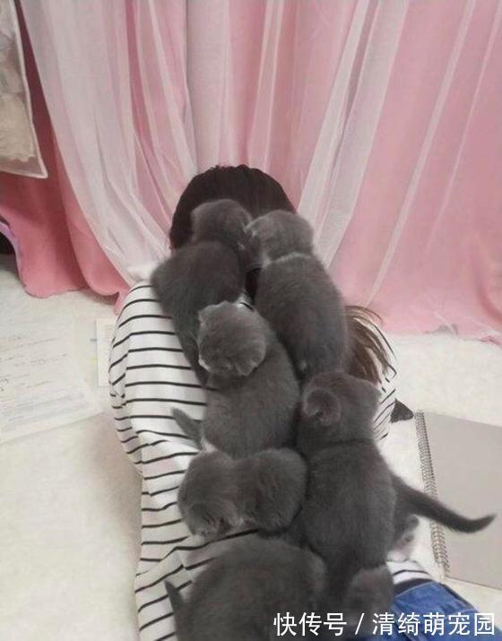 心理健康|女孩趴着做作业,妈妈进来后,一看背上乐了:陪读还挺多呀