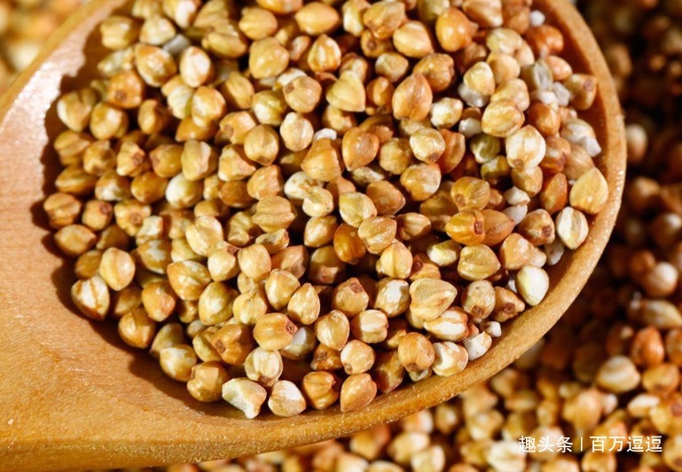 五谷之|它是“神仙粮食”,养血管降三高效果很好!被称为“五谷之王”