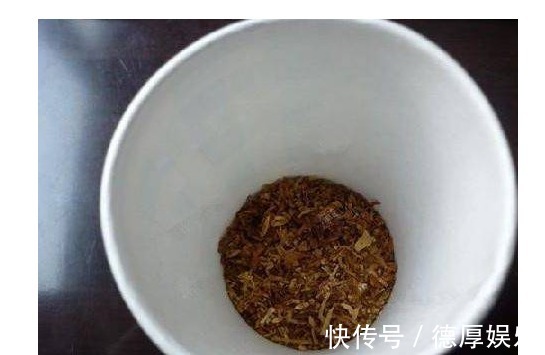 花农|家里养花招虫很烦人老花农教1绝招，不买杀虫药，虫子都没有了