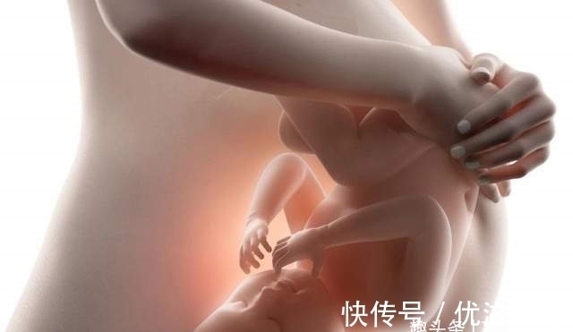 髋骨|同样是哺乳动物，为什么只有人类，生孩子会疼得撕心裂肺？