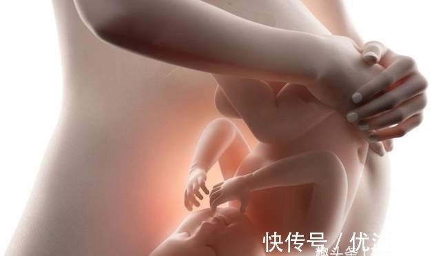 髋骨|同样是哺乳动物,为什么只有人类,生孩子会疼得撕心裂肺?