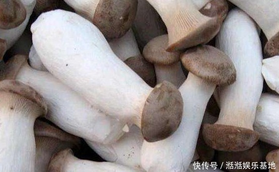 买杏鲍菇时,该挑大的还是小的菜贩子透露,今后别再乱买了