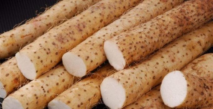 芡实|老胃病就怕这“5样食物”!每天吃一点天然养胃,脾胃越来越健康