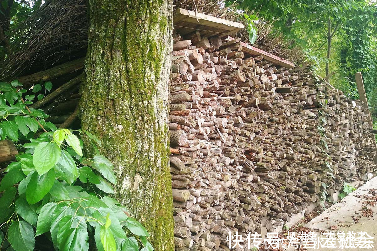 回家|山村楼房装修豪华，门前堆满柴火，2个儿子3年没回家
