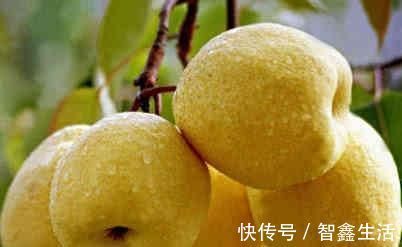 宿便|大肚子,便秘多吃4种食材,排出多年黑臭宿便,肚子慢慢瘦下来