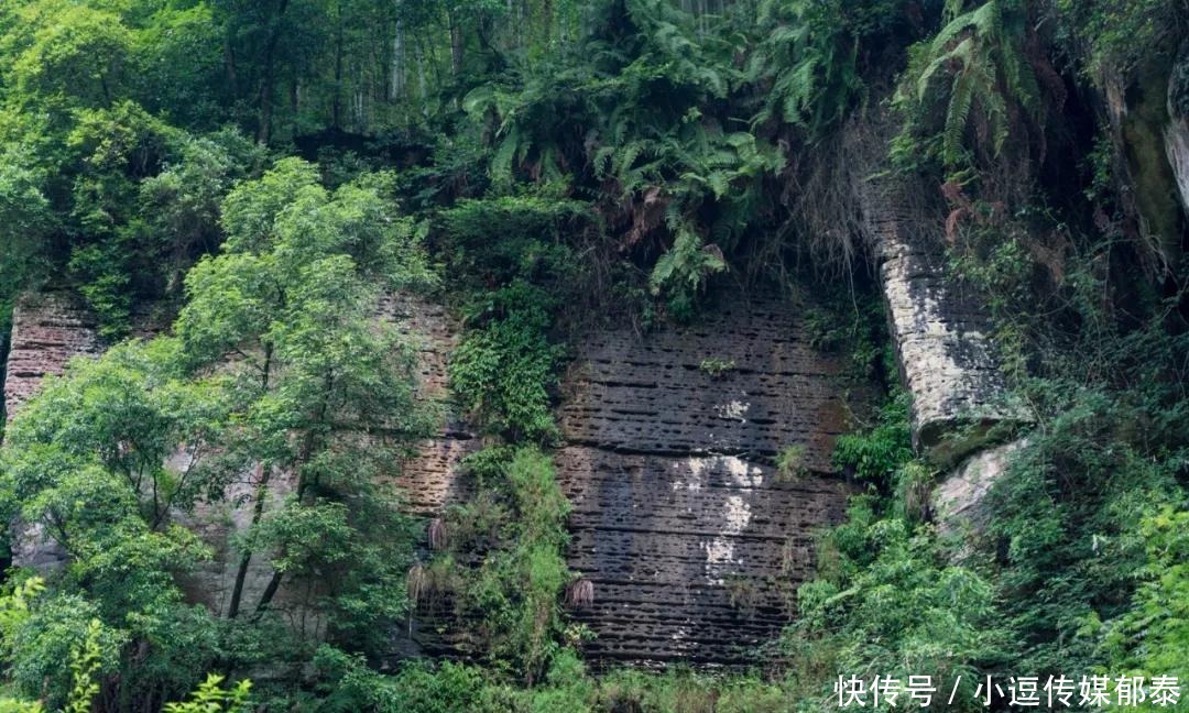 缠绵|【创建天府旅游名县】四川兴文这里的岩层景观全国罕见