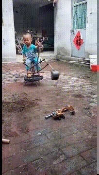 |搞笑GIF趣图:海象:“看你这么可爱的份上,我就配合一下吧!”