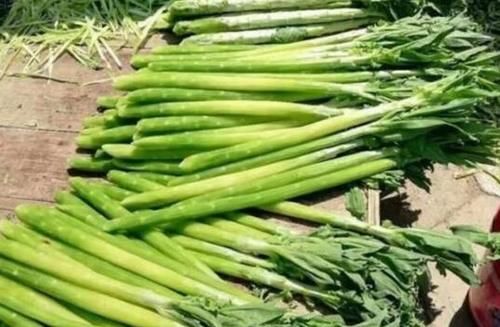 贡菜和青笋的差别 贡菜的食用方法