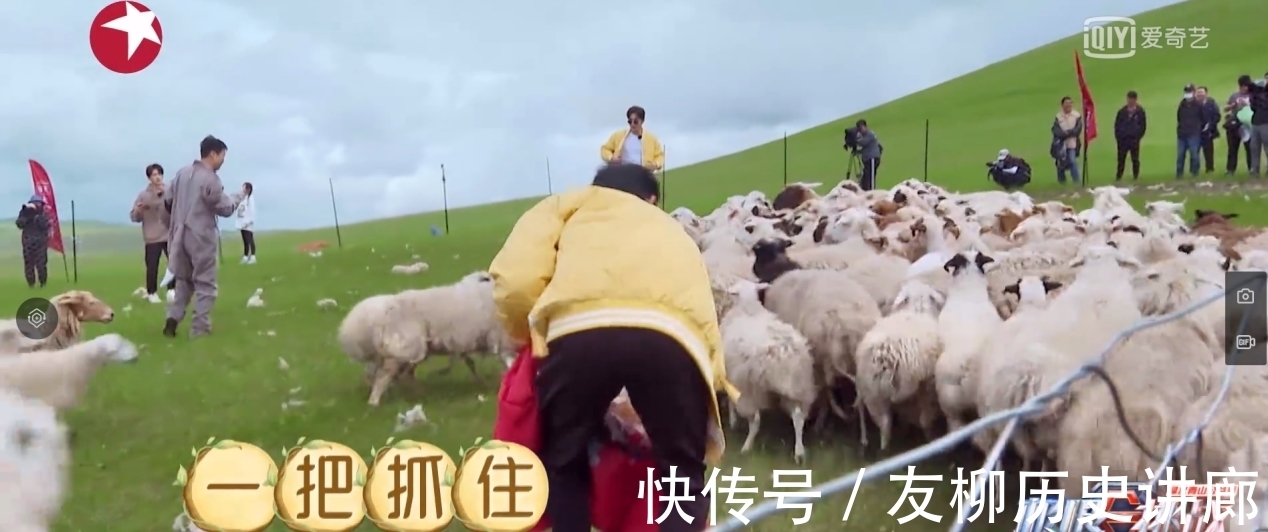 何洛洛|《极限挑战宝藏行2》:各路成员抓羊姿势大赏