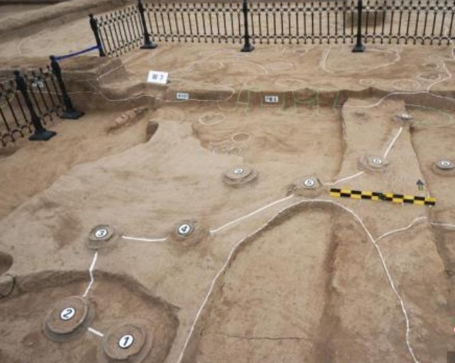 发现|青台遗址发现九个瓮棺,专家经过研究,破解了它背后隐藏的秘密