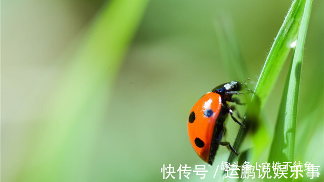 26个冷知识：书本上不会有，但却真实存在着