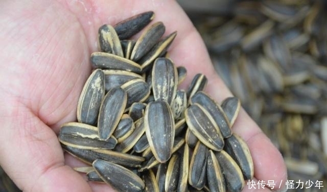 吃瓜子相当于喝油?养生专家:瓜子再怎么好,这2种务必不能碰!