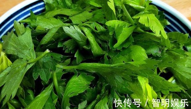 营养物质|吃芹菜为什么不吃叶子,其中的真相知道吗,建议早了解
