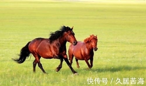 草字&一首描写秋草的七律,全文不见一个草字,却句句赞美其高洁品质