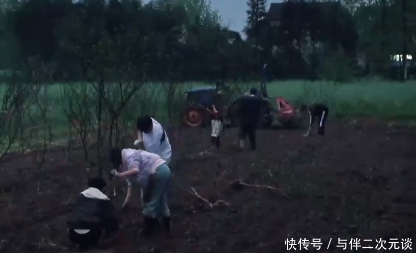 制造|陈赫和李诞怎么了,努力制造节目效果,反而引起何炅与黄磊的反感