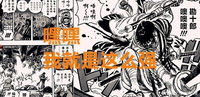 马尔科|海贼王1016话:锦卫门比路飞还强?索隆单挑烬，马尔科转线大妈
