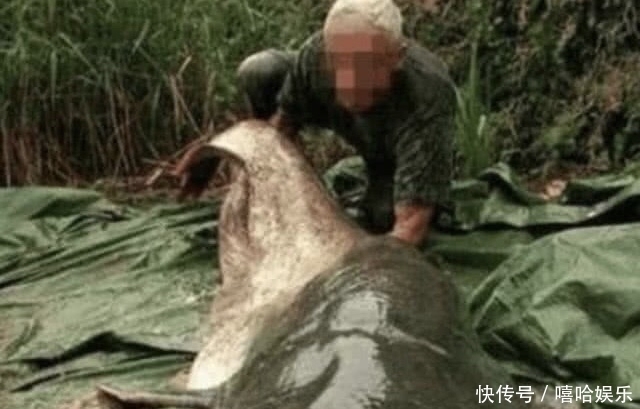 减少|鱼塘的鱼儿减少,主人把鱼塘里的水抽干,结果却发现宝贝了