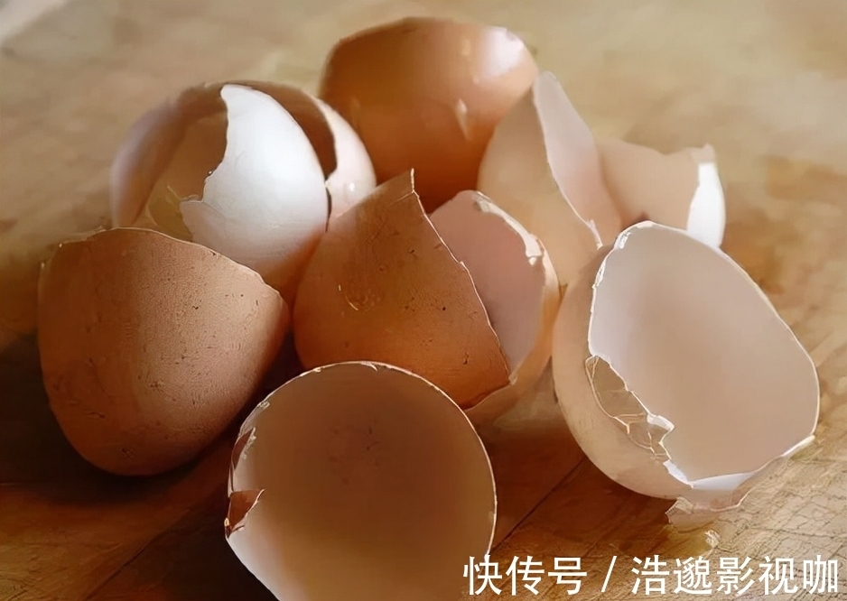 这些“垃圾”不要扔,用来养花“一级棒”,肥的流油,环保又省钱