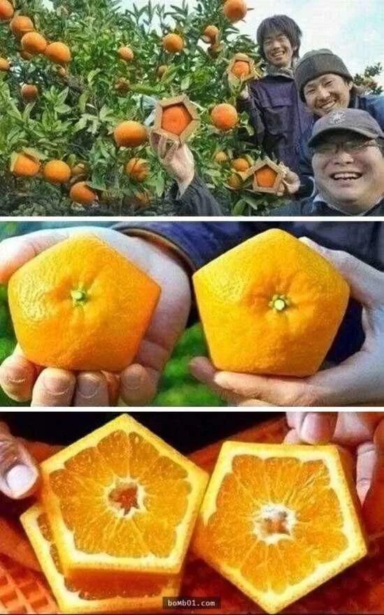 非侵入性|岛国脑洞大开系列,「非侵入性」整形面具了解一下……