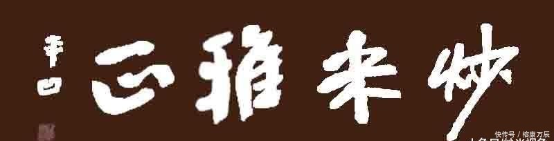 传统文化里|千年王八万年龟,下半句是什么?这两句说的是什么意思?