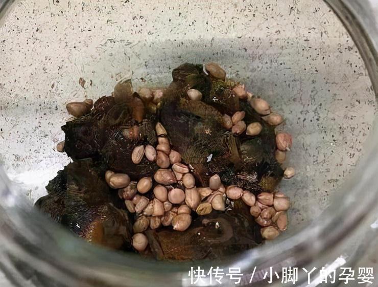 君子兰,蟹爪兰总是不开花,弄条鱼养一养,花朵到处乱窜