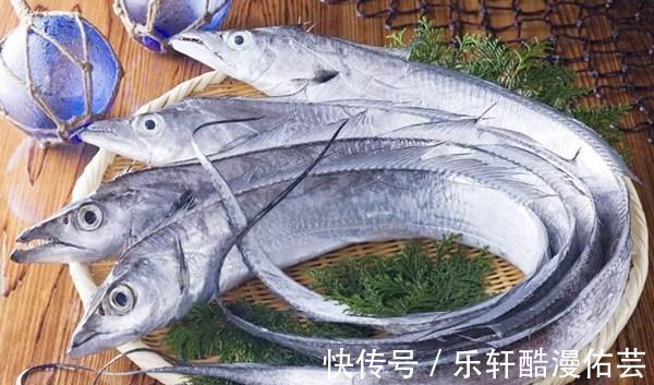 黄鱼|什么海鱼便宜又好吃呢老渔民买这4种，物美价廉，营养又美味