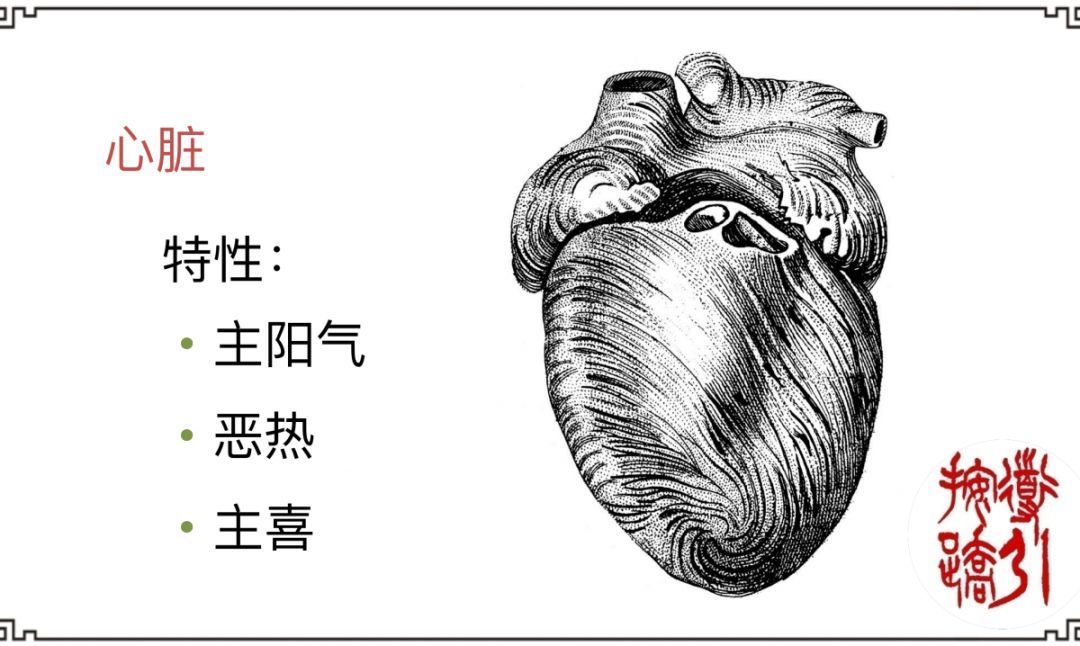 阳气|心火过旺导致心烦、失眠、口舌生疮一招帮你泻心火