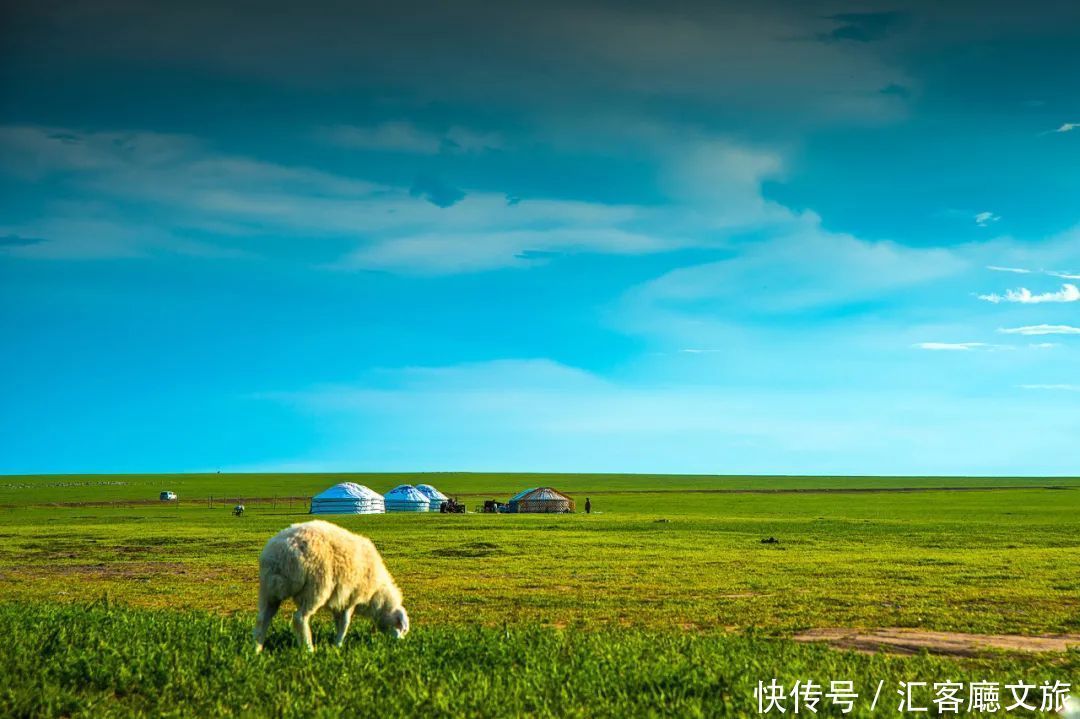 蒙古族|夏天的内蒙古草原，究竟有多美？